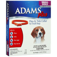 Adam Plus Collar