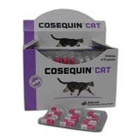 Cosequin