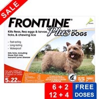 Cheapest Frontline Plus For Dogs And Cats Cheapest Frontline Plus For Dogs And Cats