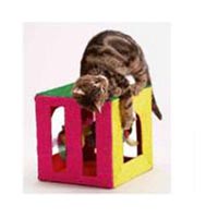 La Cage aux olseaux Cats