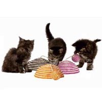 Le Tourbillon Cats