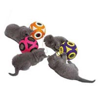 Les Balles Cats