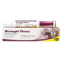 Strongid Caramel Horse Paste