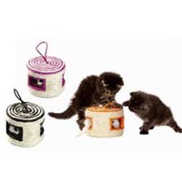 Yiki  Cats