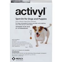 Activyl for small dogs orange