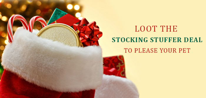 stock pet supplies on boxing day