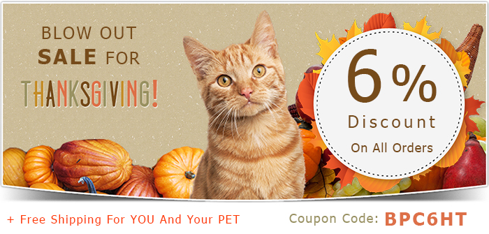 thanksgiving day sales, offers, deals and discounts for pets