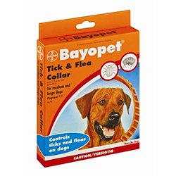 Bayopet Collar for Large Dog