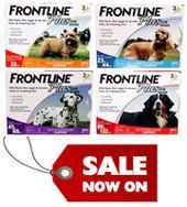 Frontline Plus On Sale at BudgetPetCare