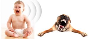 New Baby Sounds for Dogs