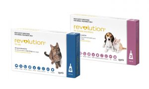 Revolution for Dogs And Cats