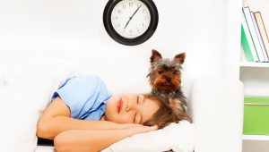 change the schedule with doggy during new baby arrival