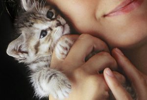 Kids to Take Care of a Newly Adopted Pet Kitten
