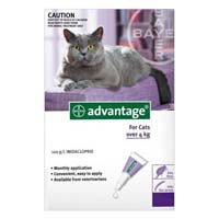 Advantage Cats over 9lbs (Purple)