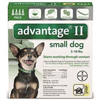 Advantage II Small Dogs/ Pups 1-10lbs (Green) 