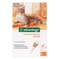 Advantage Kittens & Small Cats 1-9lbs 