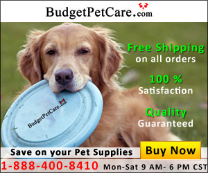 BudgetPetCare.com