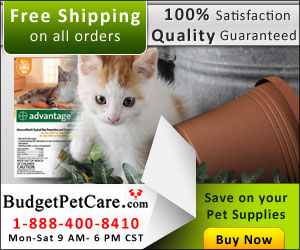 BudgetPetCare.com