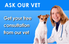 Ask a Vet