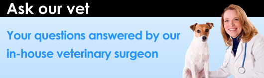 Pet medications - Ask a vet a question about your dog or cat