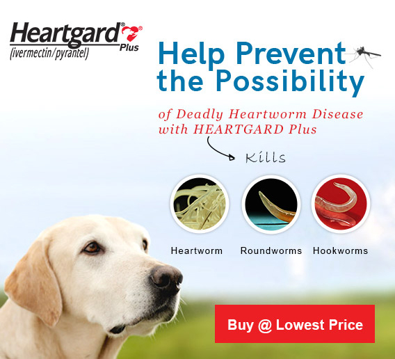 Pet Medications for cats, dogs and other pets