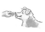 Capstar Dog Step One