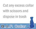 DAP Collar Dogs Step Two