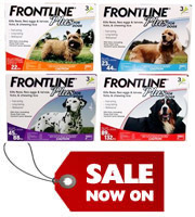 Frontline Plus for dogs