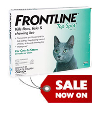 Frontline Top Spot for cats