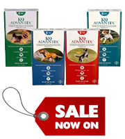 K9 Advantix for dogs