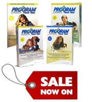 Program Plus for Dogs