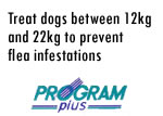 Program Plus Step One