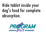 Program Plus Step Two