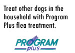 Program Plus Step Three