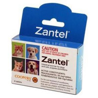 Zantel
