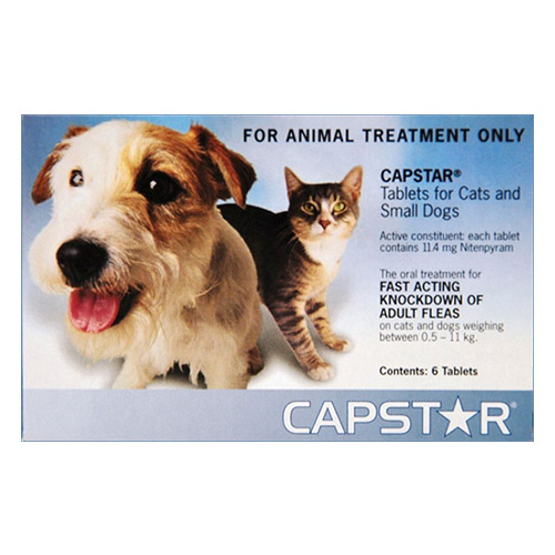 capstar for dogs cat flea tick treatment and removal products capstar for dogs cat flea tick treatment and removal products