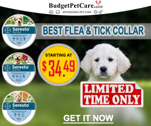 Get Lyme Disease Treatments at 12% Off + Free Shipping* | Use Coupon Code - LYAWM12