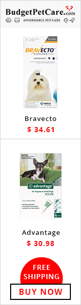 Black Friday Super Sale! Use Code: BPCDGSP7 to avail 7 % Extra OFF + Free Shipping