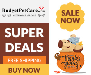 Save Up to 60% for Thanksgiving!  Extra 15% OFF on Bravecto + 10% Instant cashback! Apply Code: THNKS15