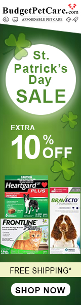St. Patricks Day SAVINGS! ?? Extra 12% Off + Free Shipping. Use Coupon Code: LUCKY12