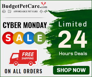 Get In Tune with Cyber Monday Deals: Huge Savings On Combo Offers & Free Doses + 15% Off + Free Shipping.  Use Code: BKFCBM15