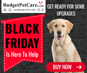 ? Black Friday Sale 15% off + Doorbusters! Avail Free Doses + 10% Instant Cashback. Use Coupon: BKFCBM15