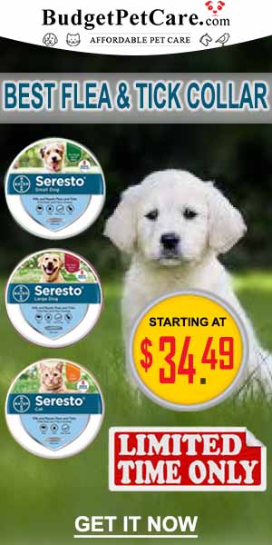 Dont Miss These Seresto Flea and Tick Collar Sale : Extra 12% OFF + Instant 10% Cashback. Use Coupon : SUMER12
