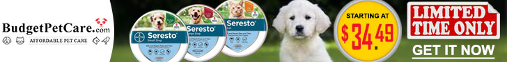Up to 60% OFF Seresto Collar for Dogs + Instant 10% Cashback & Free Shipping. Use Coupon: SUMER12