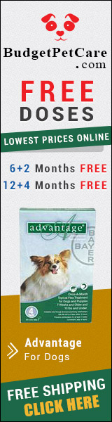 Advantage is a fast action flea treatment for dogs. Easy to apply, this topical solution kills almost 100% fleas within 12 hours. Order Advantage from budgetpetcare.com to get big discounts!