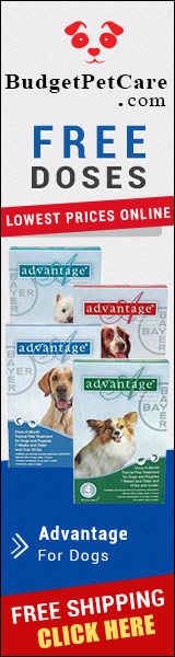Advantage is a fast action flea treatment for dogs. Easy to apply, this topical solution kills almost 100% fleas within 12 hours. Order Advantage from budgetpetcare.com to get big discounts!