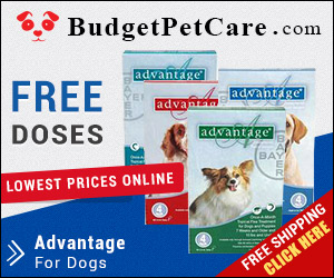 Advantage is a fast action flea treatment for dogs. Easy to apply, this topical solution kills almost 100% fleas within 12 hours. Order Advantage from budgetpetcare.com to get big discounts!