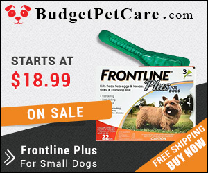 Frontline Plus has been most trusted parasite control for years. It destroys fleas and ticks quickly and prevents its reinfestation. Buy Frontline Plus at affordable price from budgetpetcare.com.