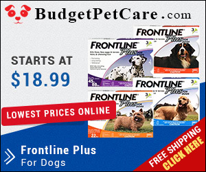 Frontline Plus has been most trusted parasite control for years. It destroys fleas and ticks quickly and prevents its reinfestation. Buy Frontline Plus at affordable price from budgetpetcare.com.