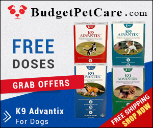 K9 Advantix is an ultimate solution to keep your dog safe from fleas, ticks and mosquitoes. This spot-on solution also repels parasites found in the surrounding. Order a pack from budgetpetcare.com and save big!